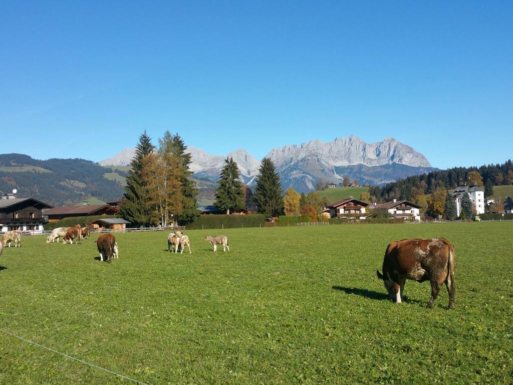 Haus Aschenwald Kitzbühel Exterior foto